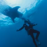 underwater discoveries