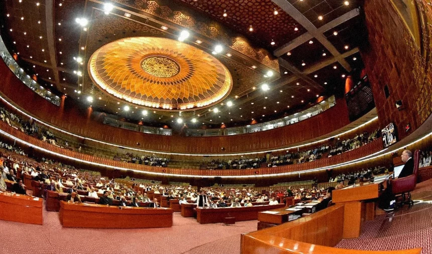 Open Budget Debate in National Assembly